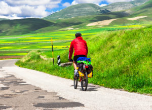 rower trekkingowy do 2000